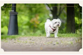 Pet Park
